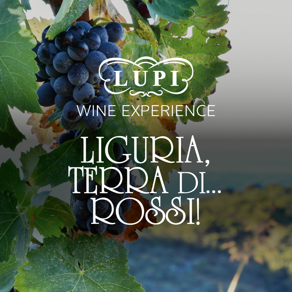 Wine Experience - I segreti dei vini del Ponente Ligure