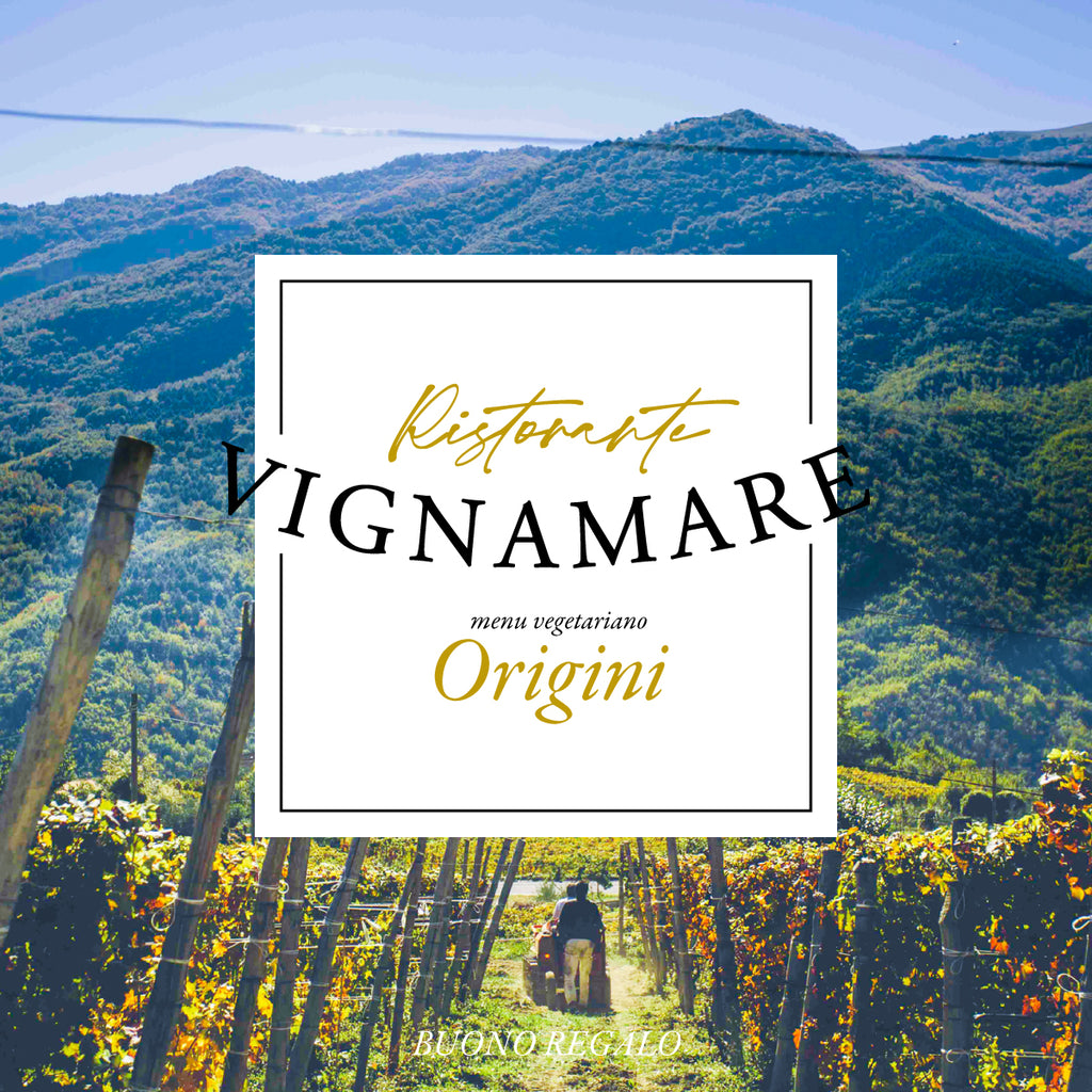 Vignamare Tasting Gift Voucher
