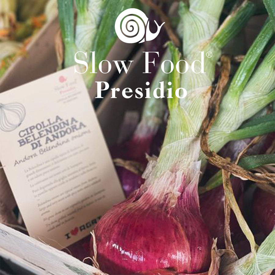 Cipolla Belendina di Andora - Presidio Slow Food