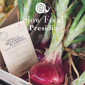Cipolla Belendina di Andora - Presidio Slow Food